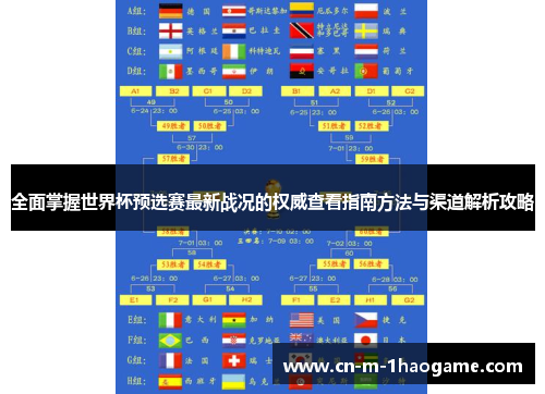 全面掌握世界杯预选赛最新战况的权威查看指南方法与渠道解析攻略