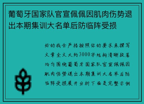 葡萄牙国家队官宣佩佩因肌肉伤势退出本期集训大名单后防临阵受损
